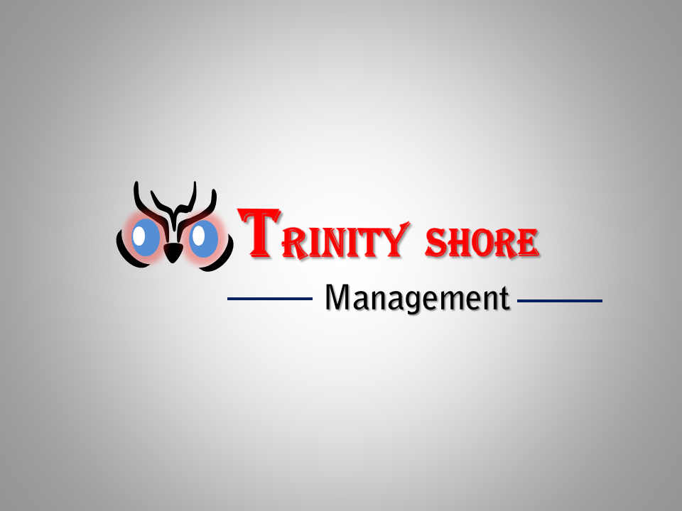 copy and paste , logo making and data entry 