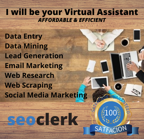 Affordable & Efficient Virtual Assistant in 24/7 