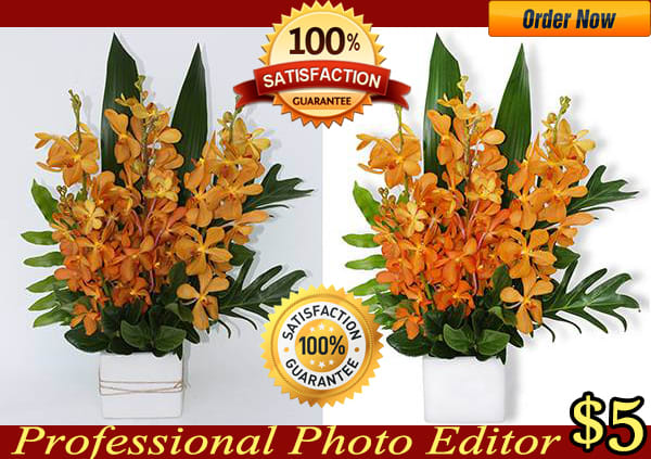 I Will Remove Background from 3 of your photo.