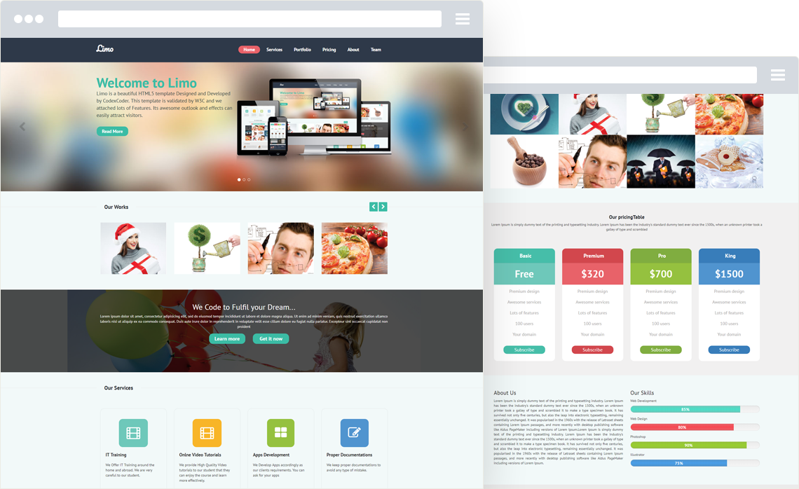 I will create your custom wordpress website