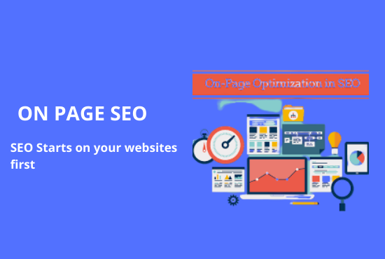 I will create On page SEO for ranking search engines 