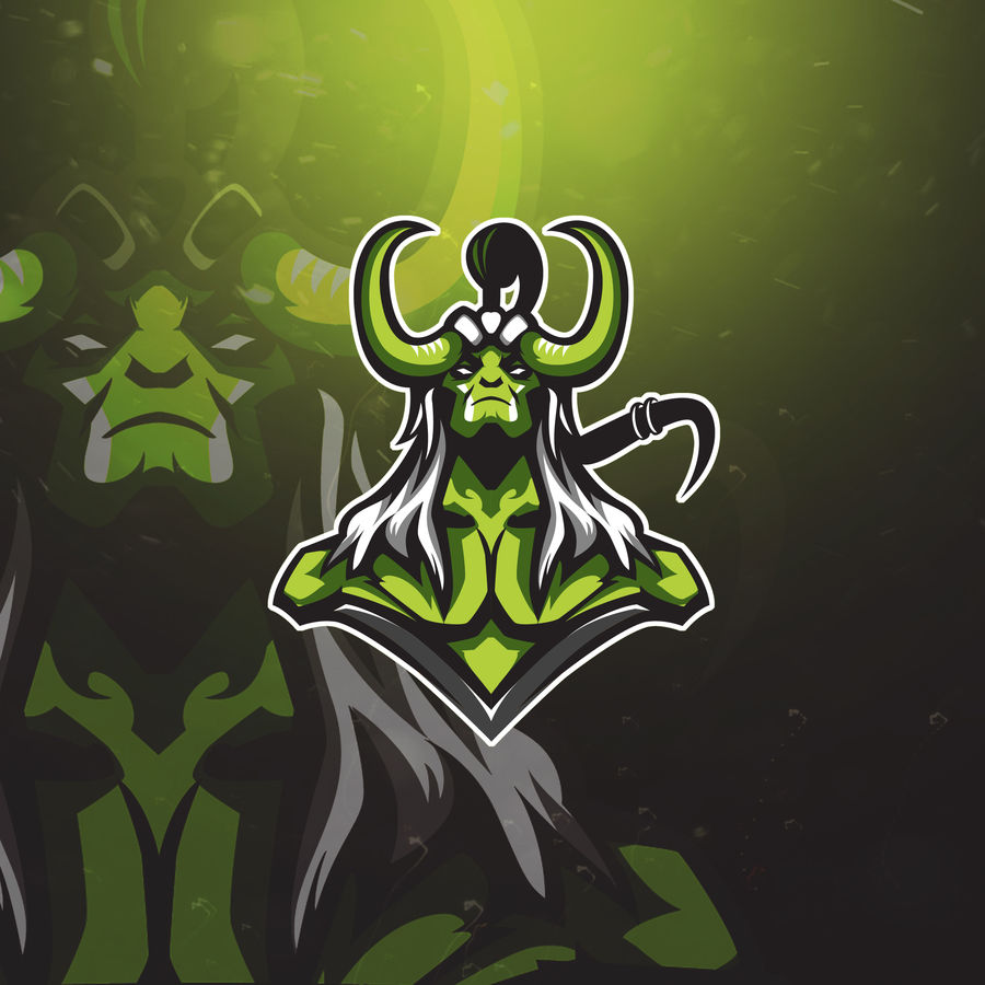 I will do professional mascot logo design