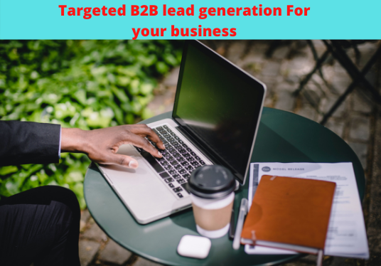 I Will do targeted linkedin and google b2b lead generation.