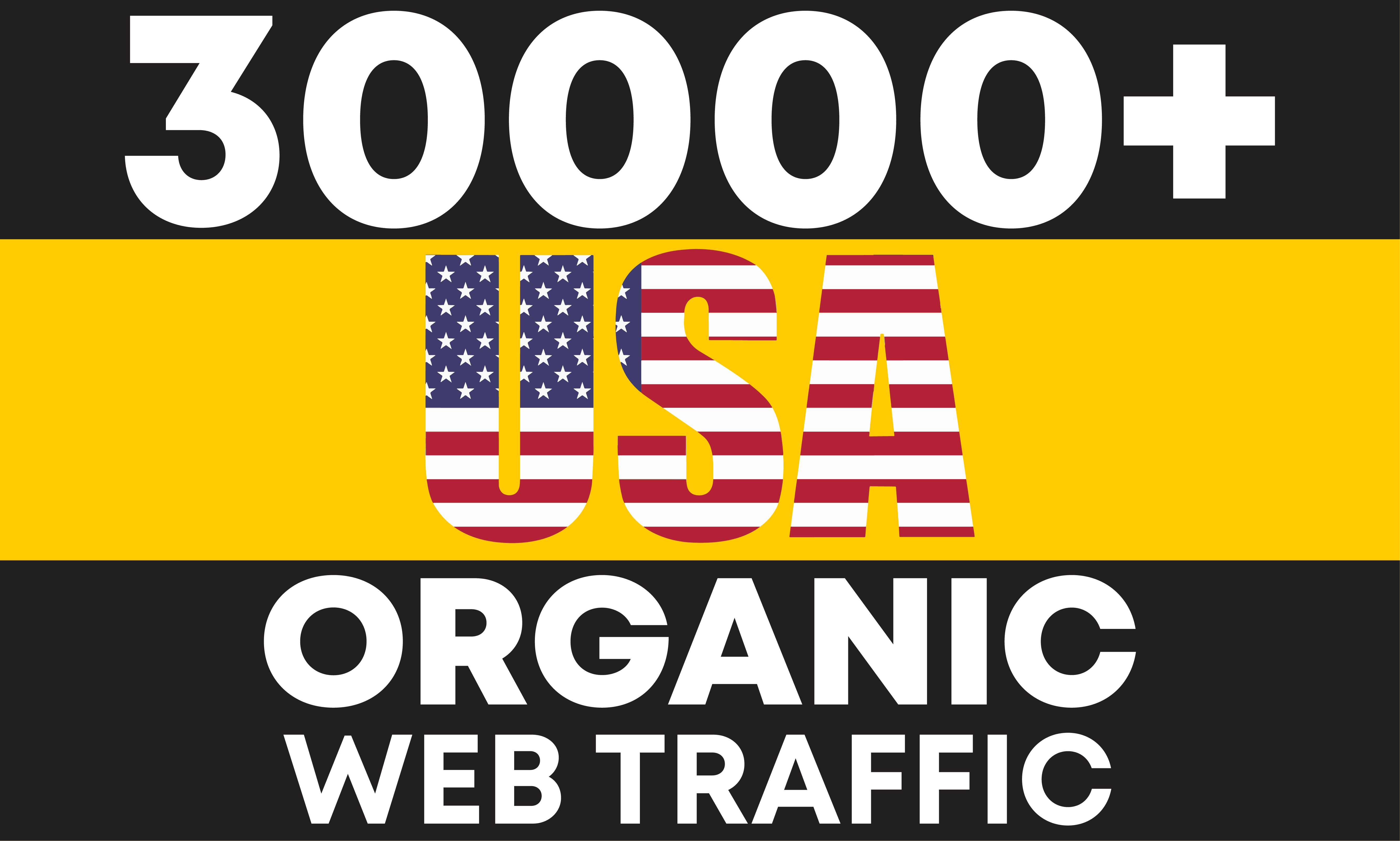 30000+ keywords targeted USA web traffic real Google organic visitors