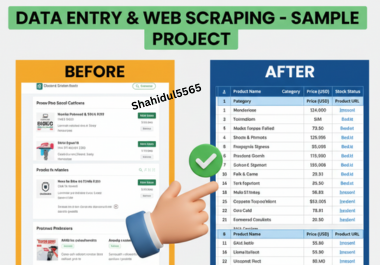 I will do Expert Excel Data Entry, Web Research and Data Collection within 5 Hours
