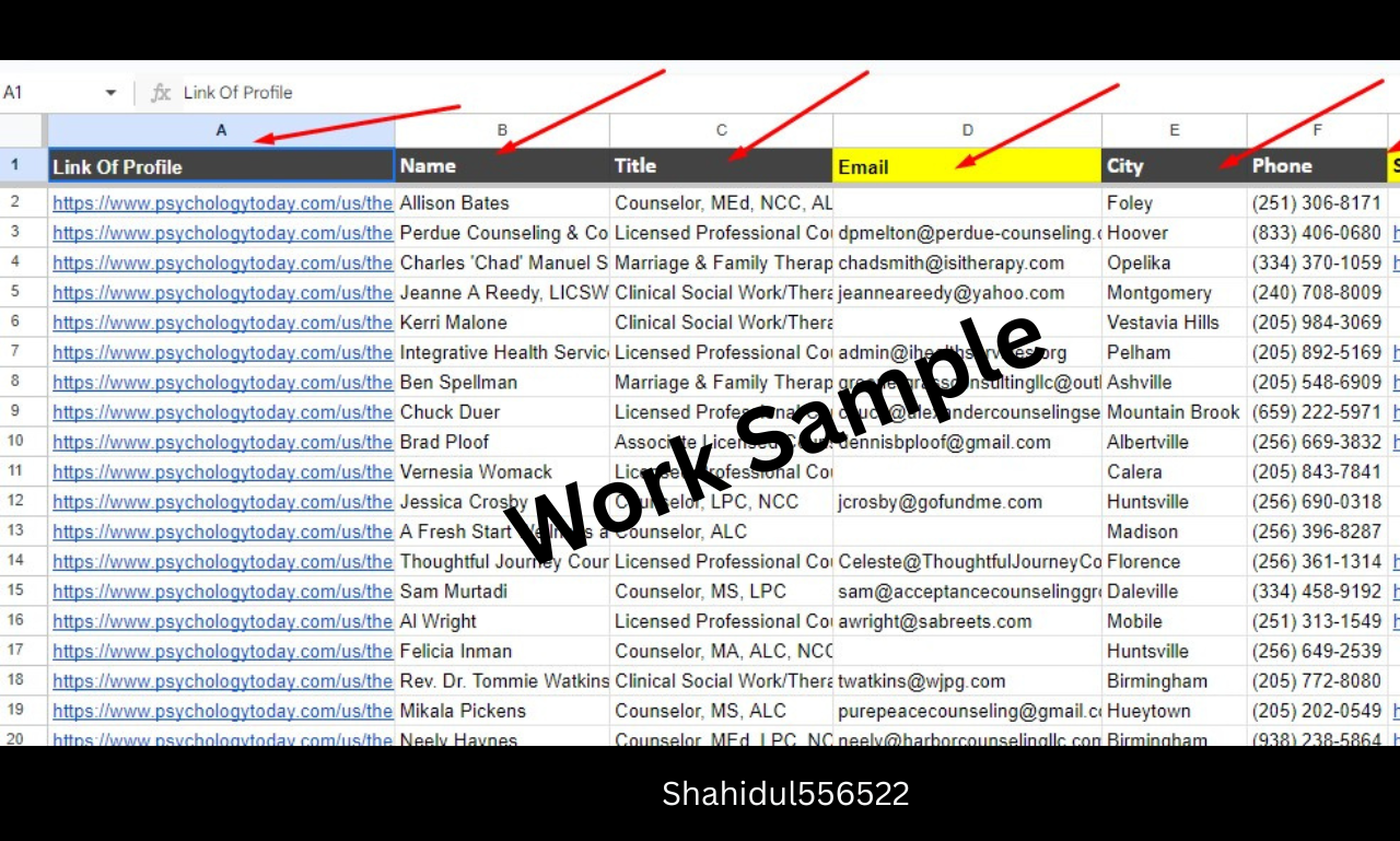 50 lead generation lead collection for your any keyword or Niche and business
