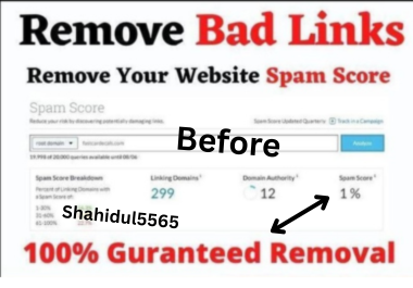 I will Identify and Disavow bad backlinks or All Toxic and Spammy Backlinks to Save Your Site