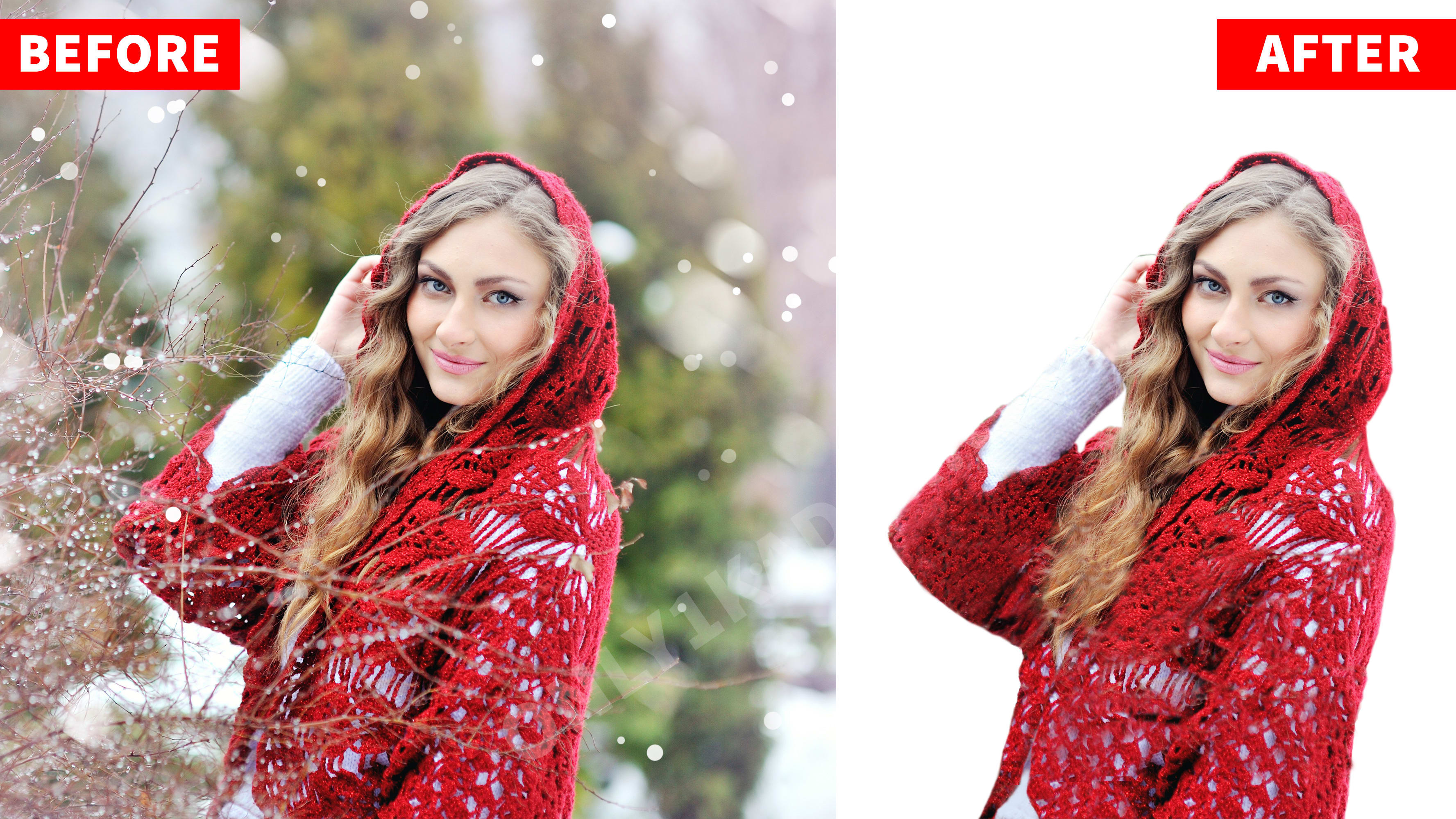 Remove or change your 10 image background in 24 Hrs.