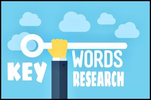 I will provide you organic keyword targeted global we...