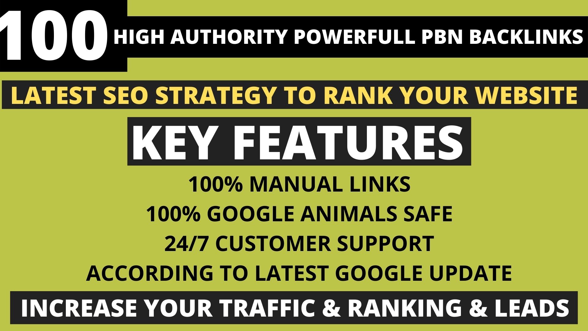 Get Powerfull 100 Permanent Pbn DA 40+ PA 35+ pr5+ We...