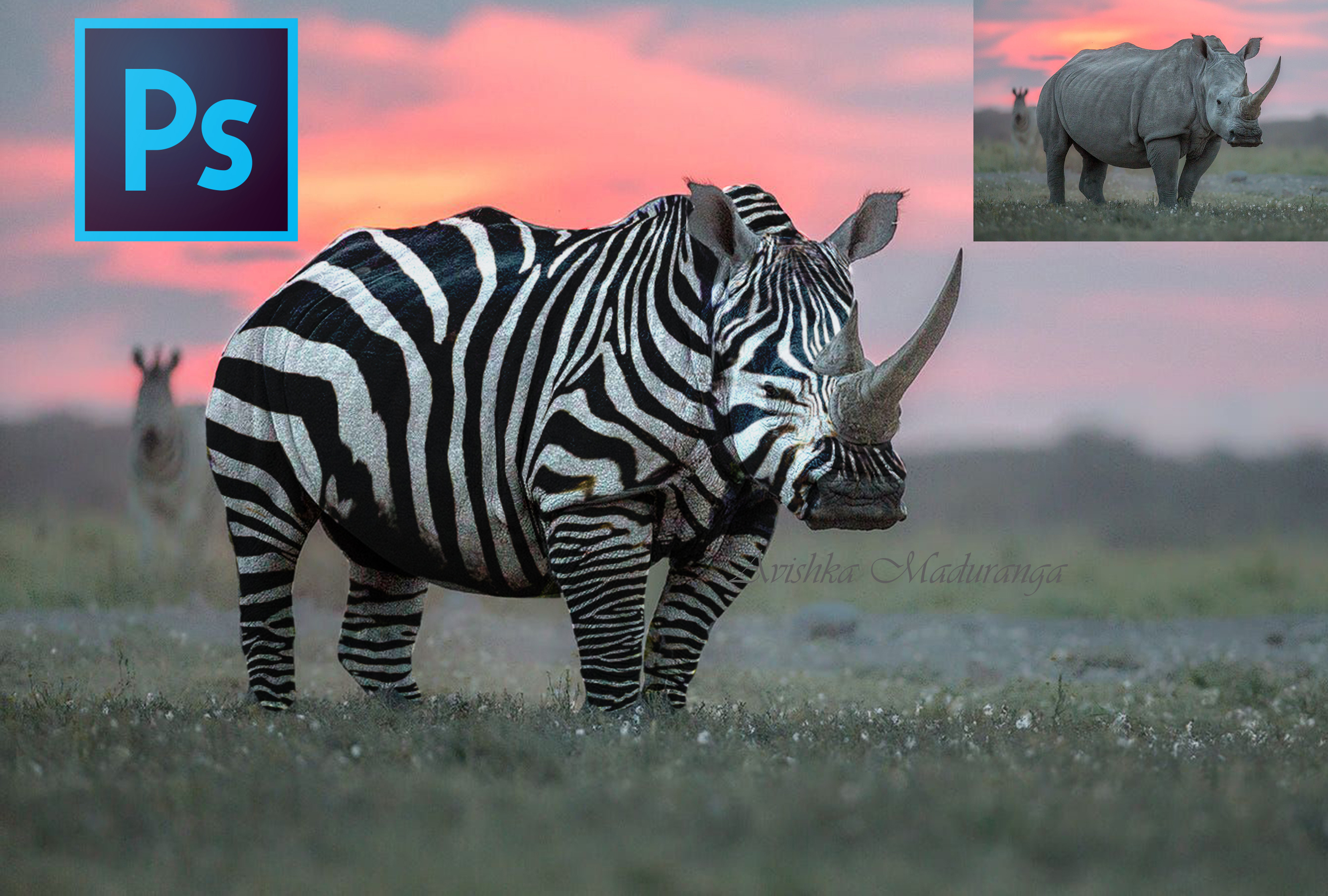 I will do image editing, background removal, oil painting and any advance editing