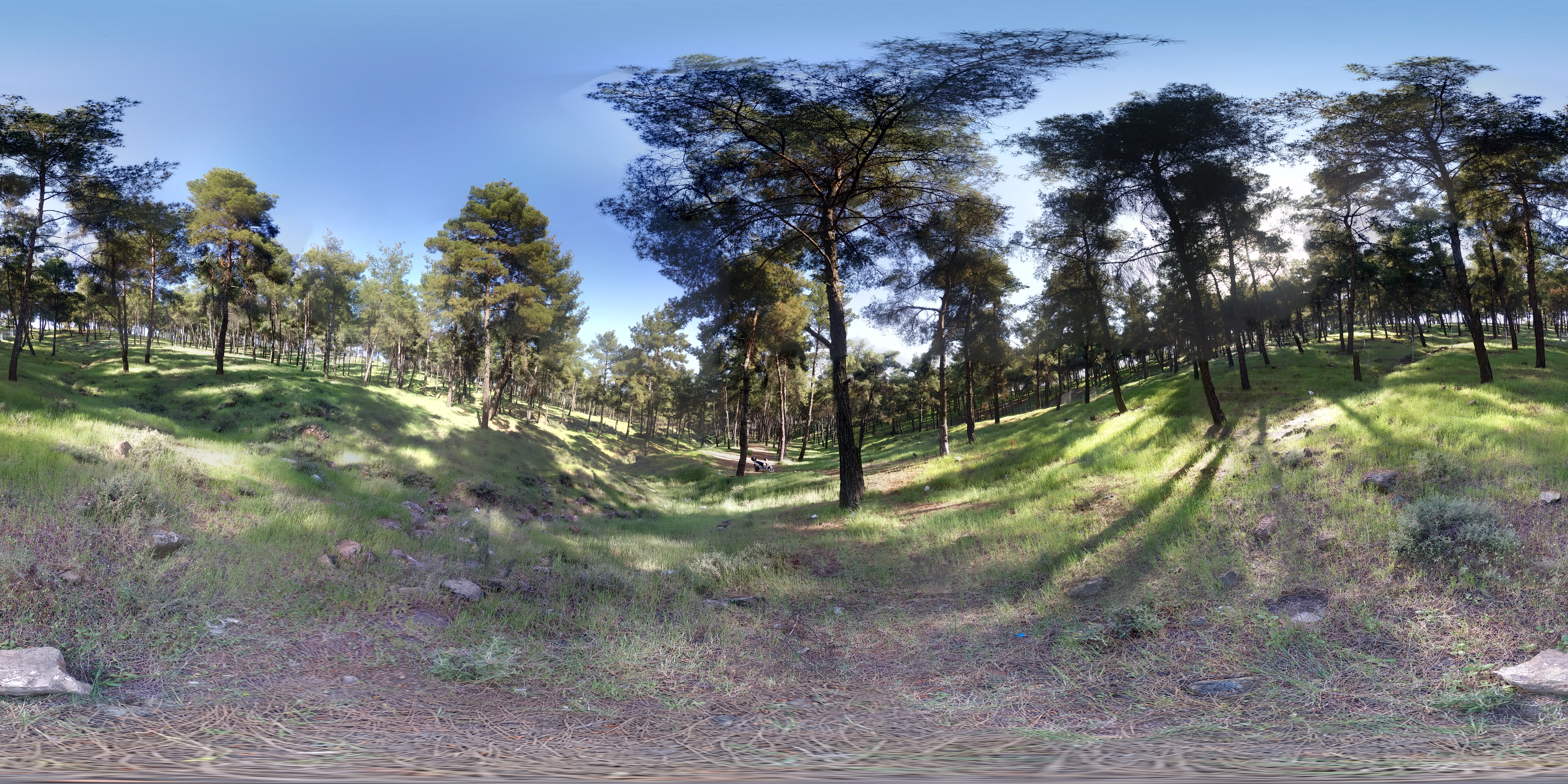 360-degree 3D images A panorama 