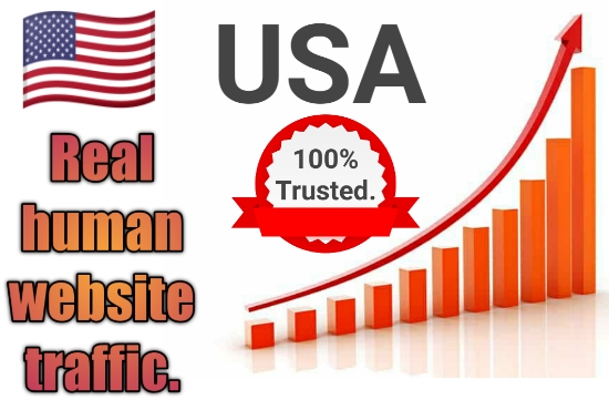 I Will bring USA targeted daily real Organic web traf...