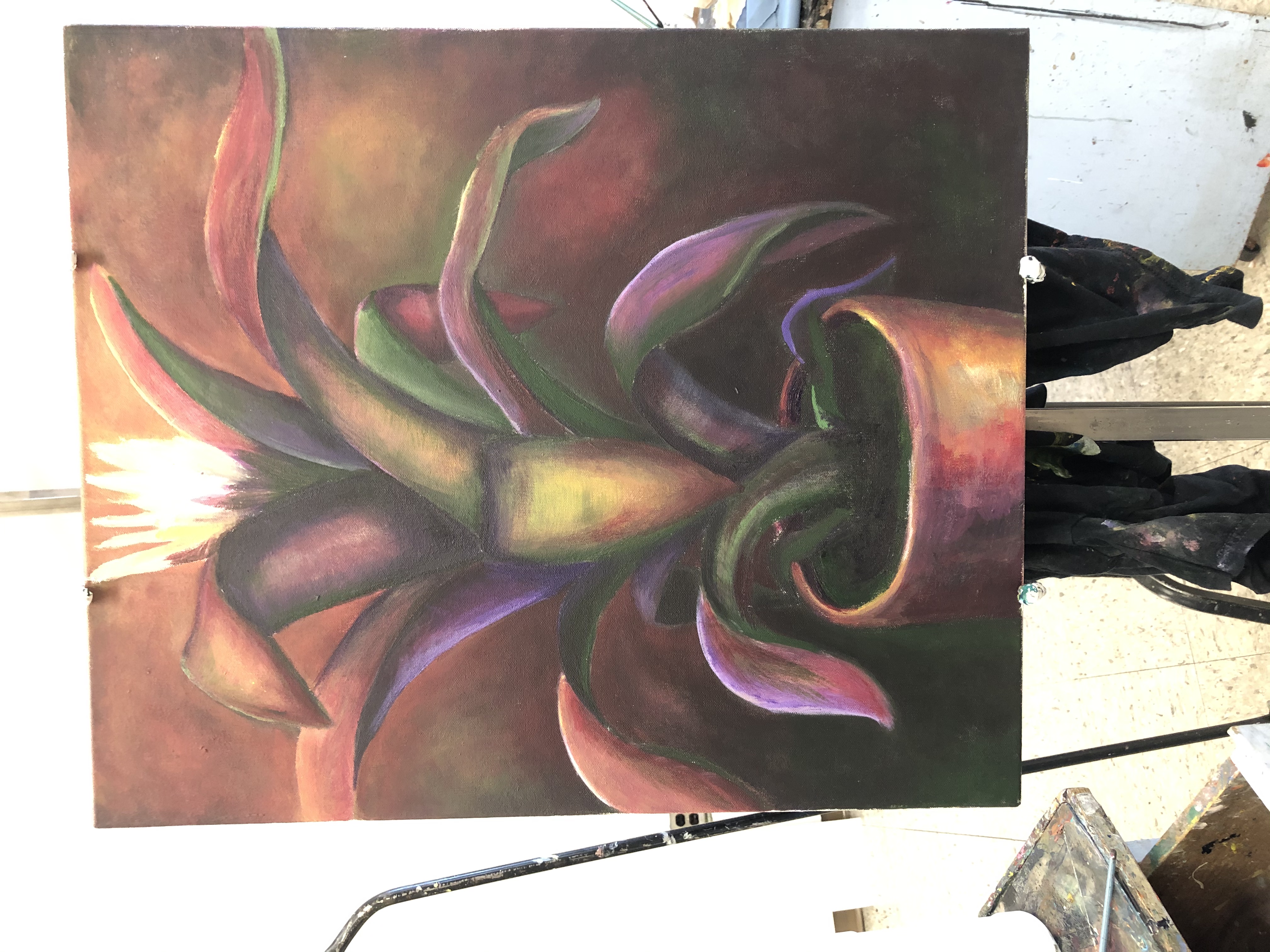 Stromanthe Tricolor Prayer Plant Painting