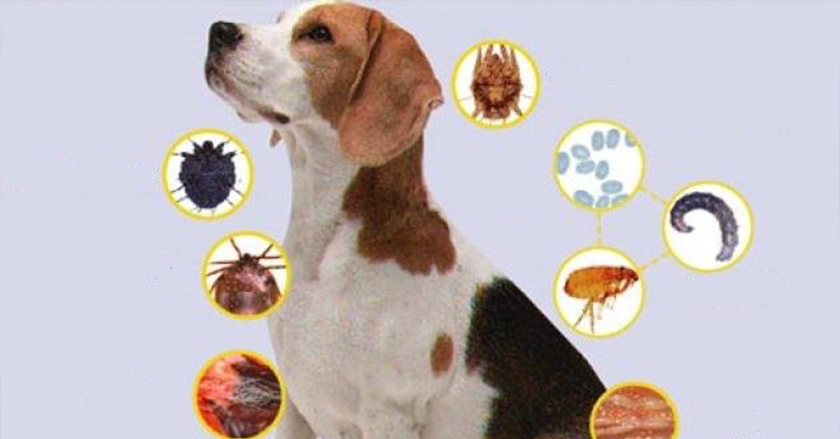 I will sell an article of 3520 exclusive words 100 Fi...