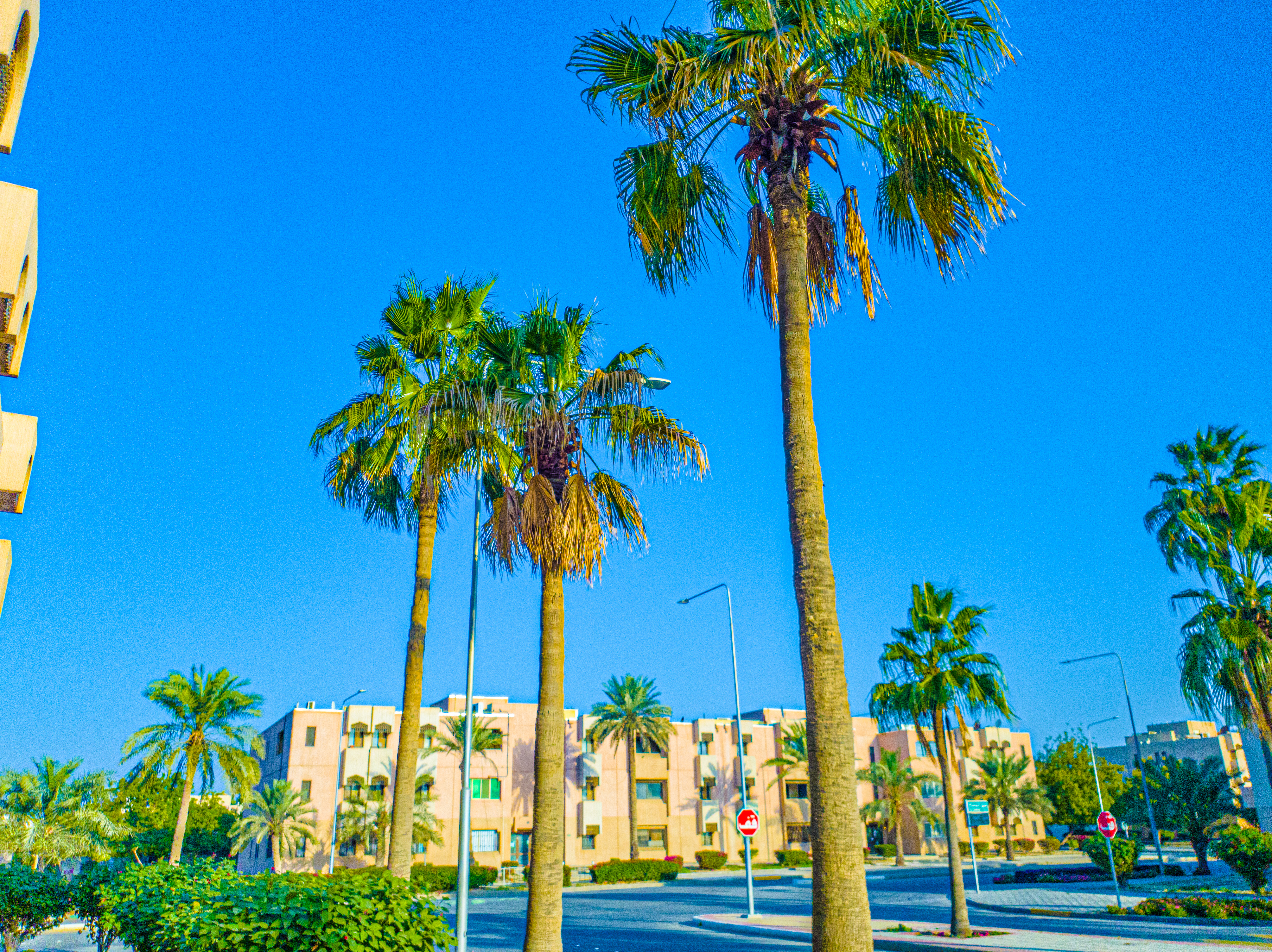 Professional photo editing with very high accuracy