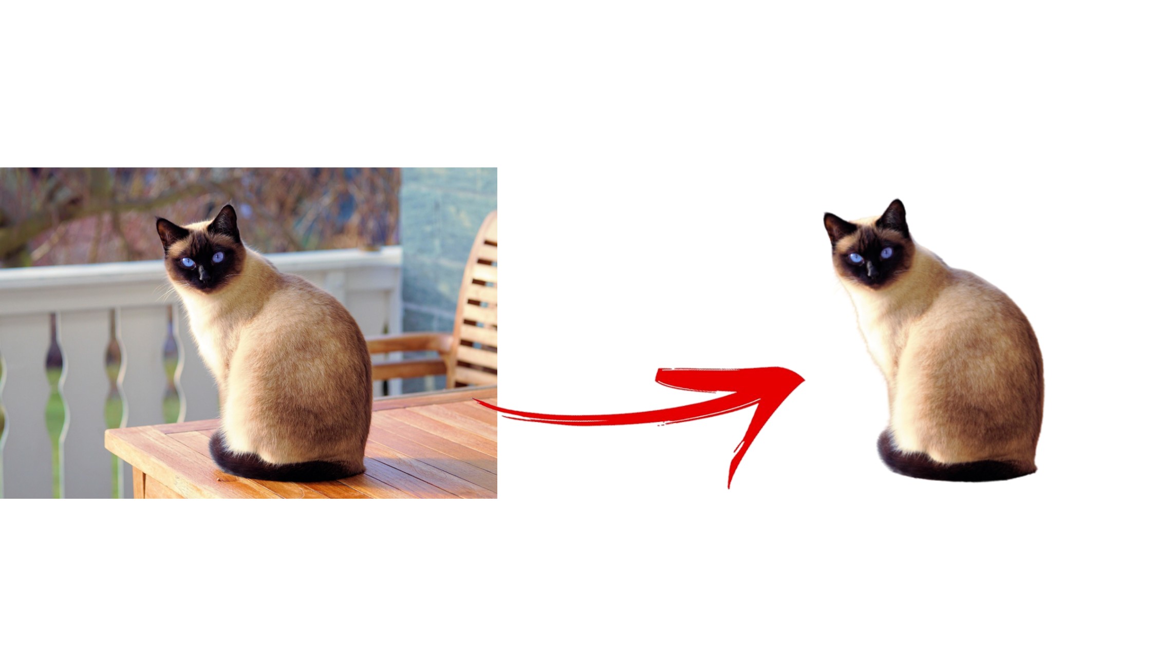 Remove background image in seconds