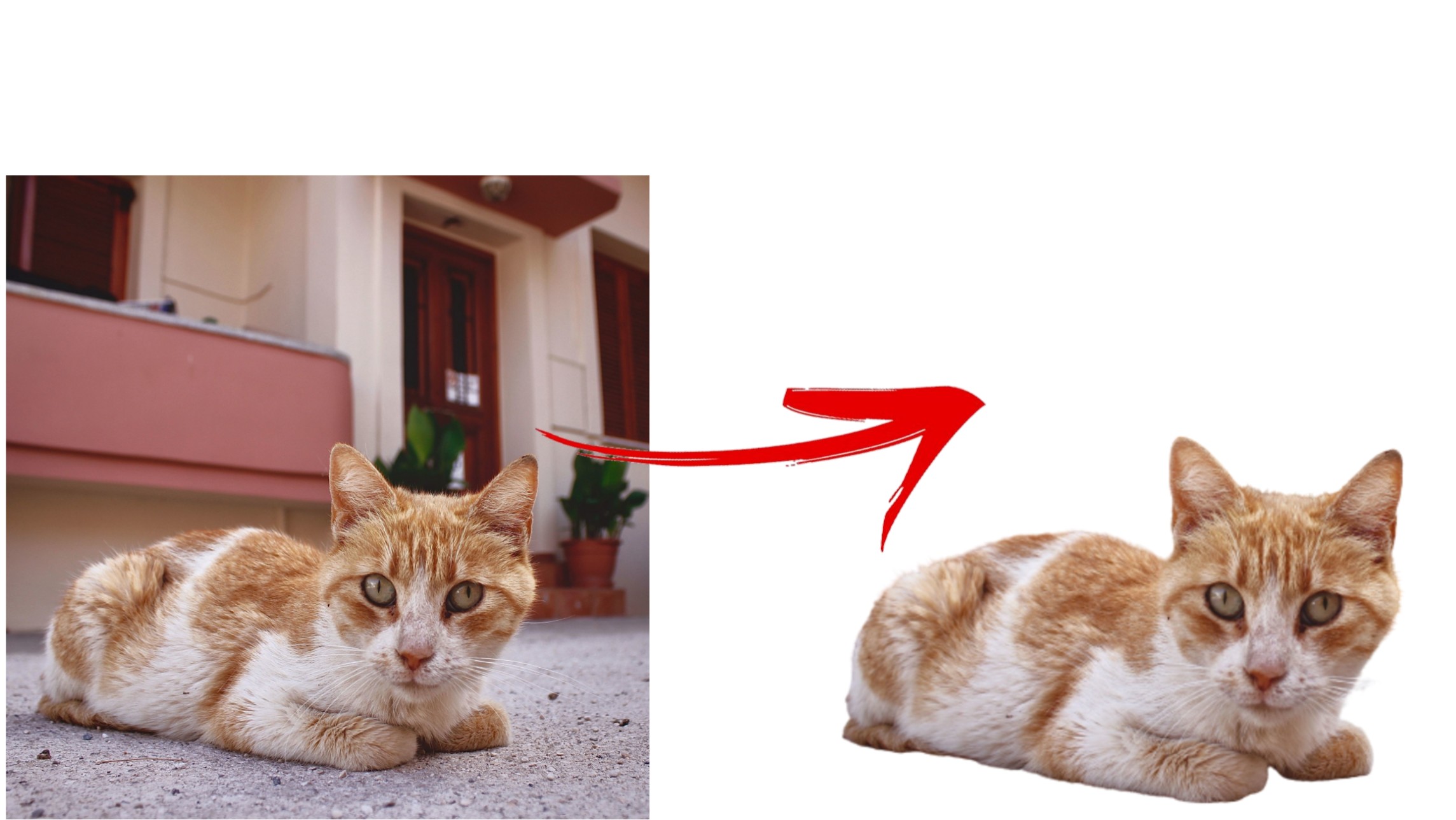 Remove background image in seconds