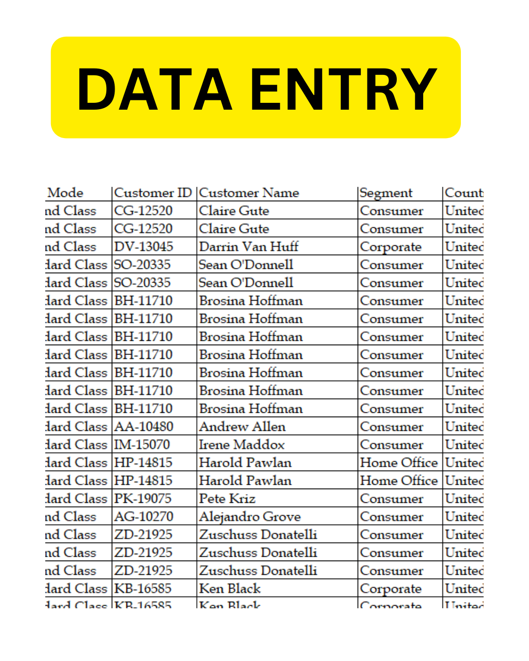  "Efficient Data Entry Specialist: Precision, Accuracy, and Timely Delivery"