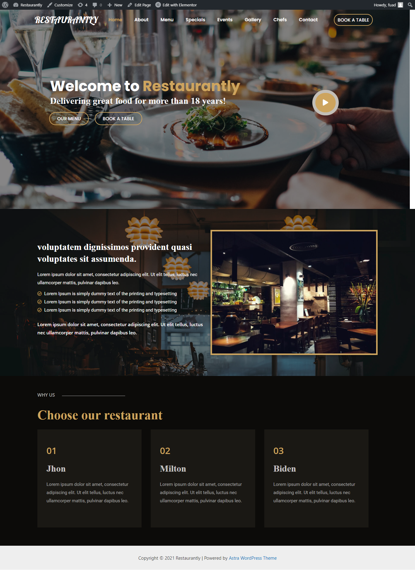 I'll Build WordPress Professional Website