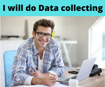 I will do professional & accurate Data Entry,Web Research,Data Collecting