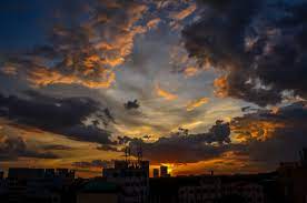 Data Entry, translate, form filling, PDF