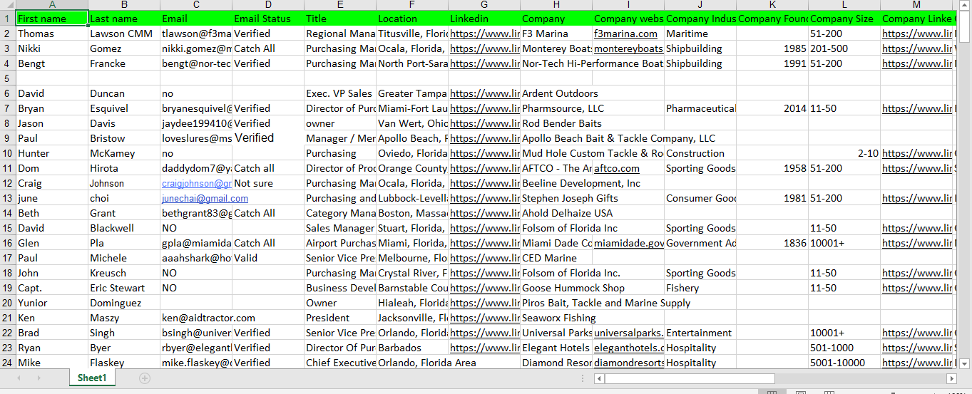I will do Data entry,web research,copy paste,Data mining and web scraping 
