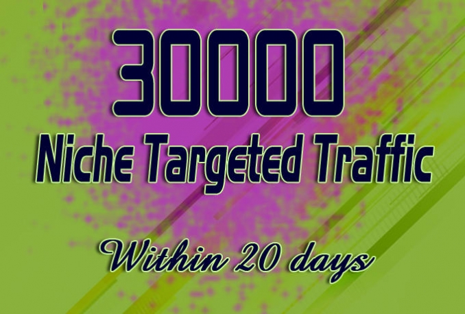 Drive 30000 Real Web Traffic Hits