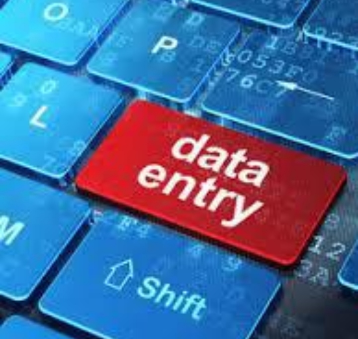 Data Entry Form Filling Project