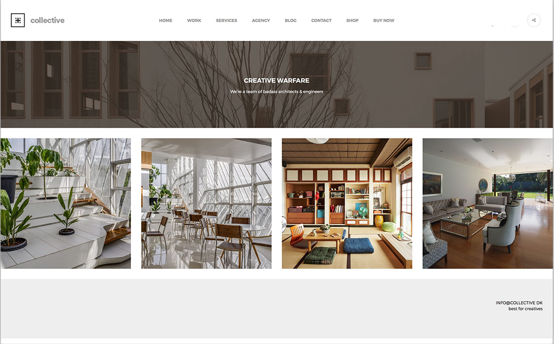 I will design and build a professional WordPress website