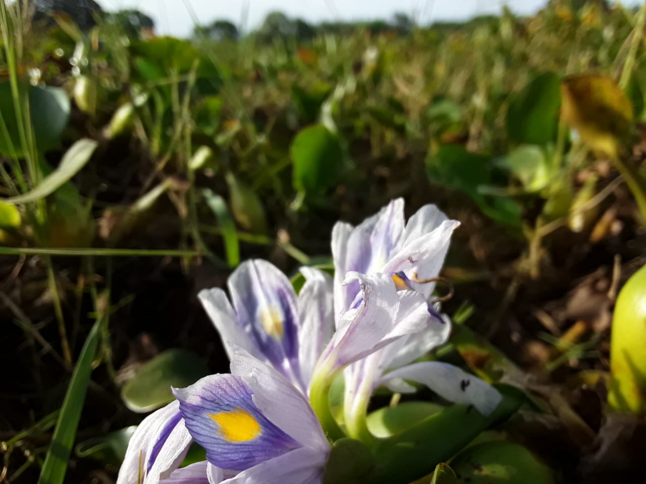 buisness card design and edit photos 