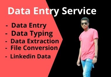 I will do data entry, copy-paste, manual data typing, excel data entry work