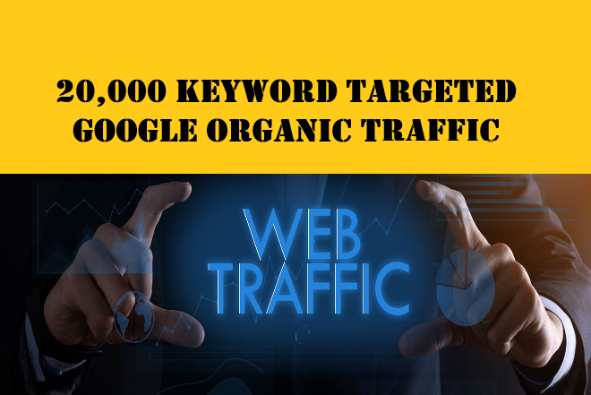 I will bring 20, 000 keyword targeted google organic...