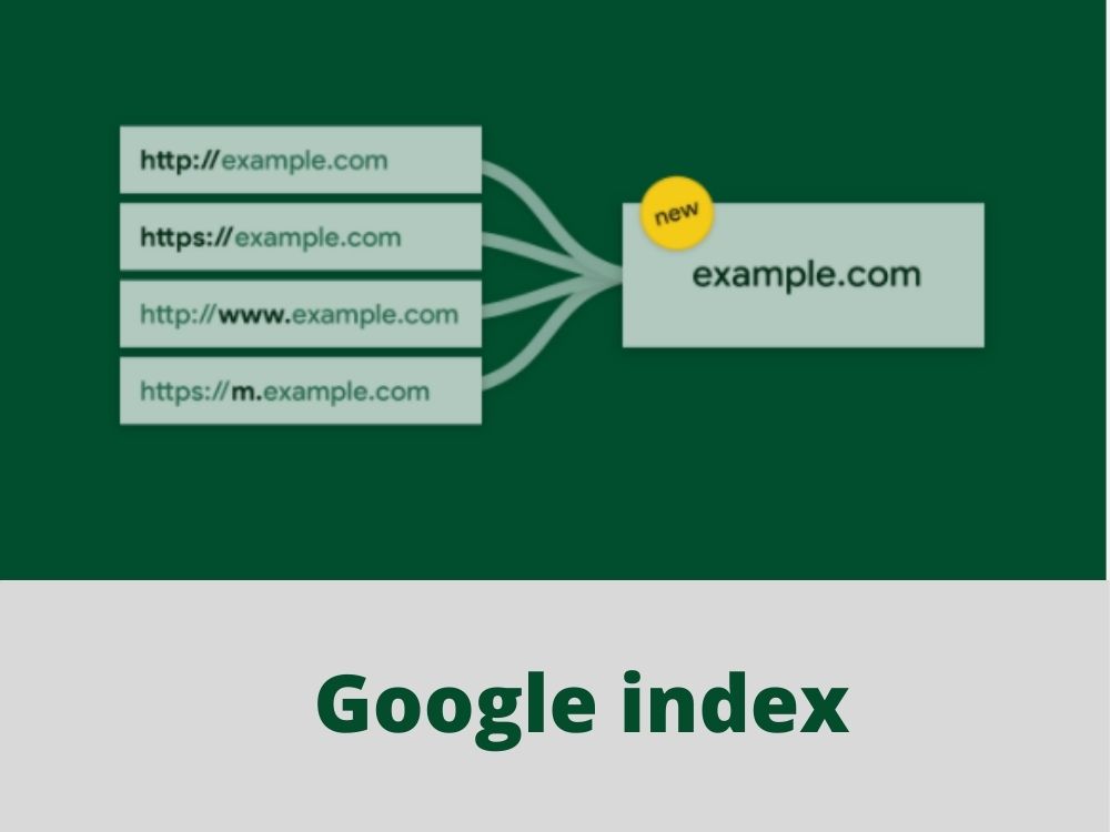Professionally google index your website and pages.