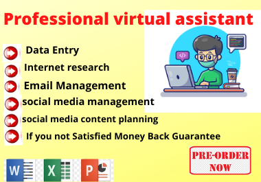 : I will do Professional your virtual assistant for web research and data entry.