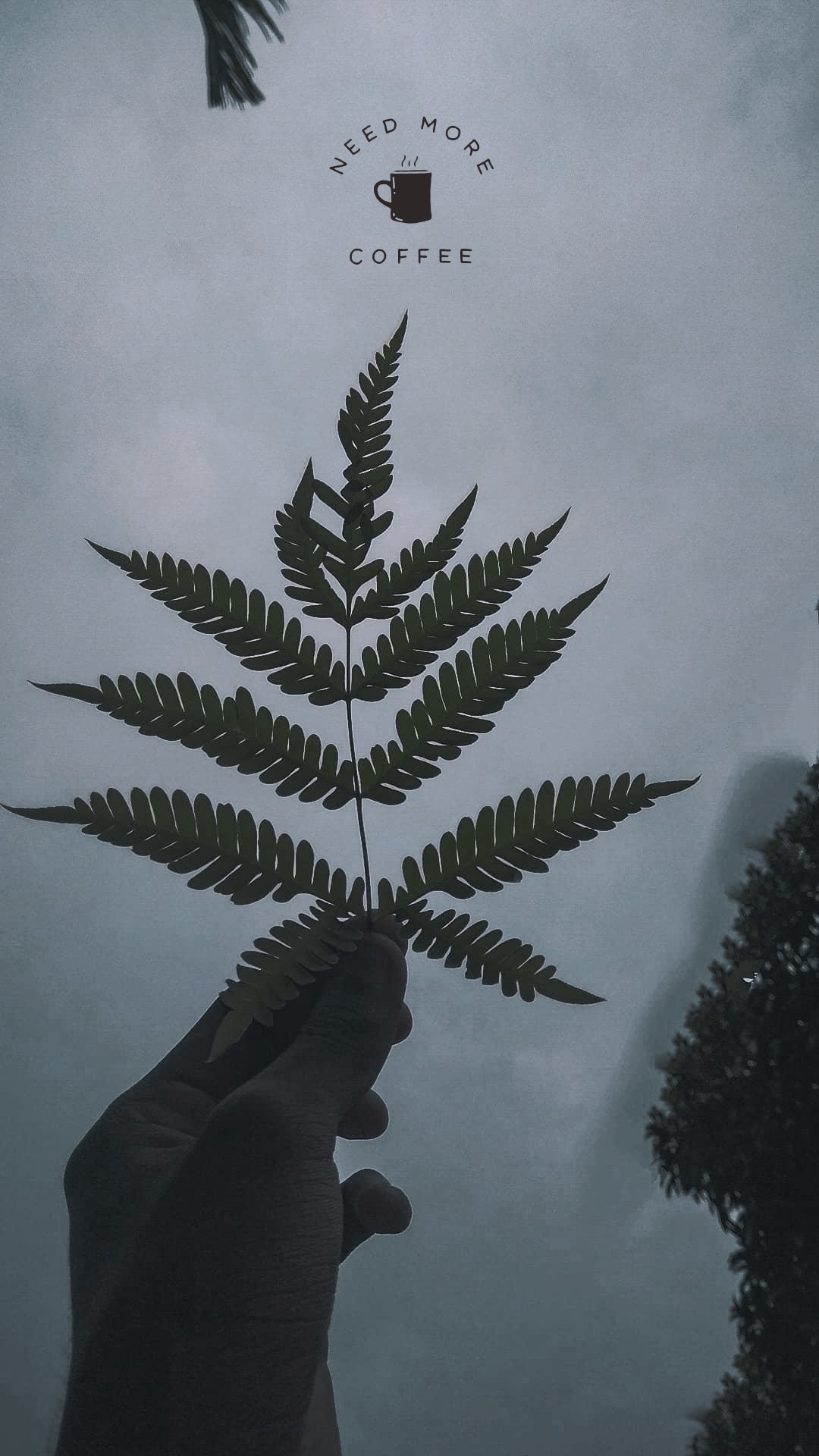 Picturesque editography retouching and background removalist