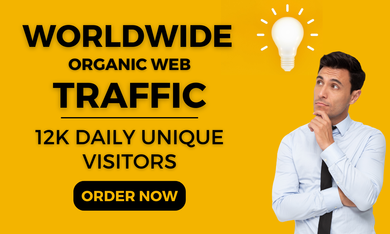 I will drive organic niche targeted traffic 30 days