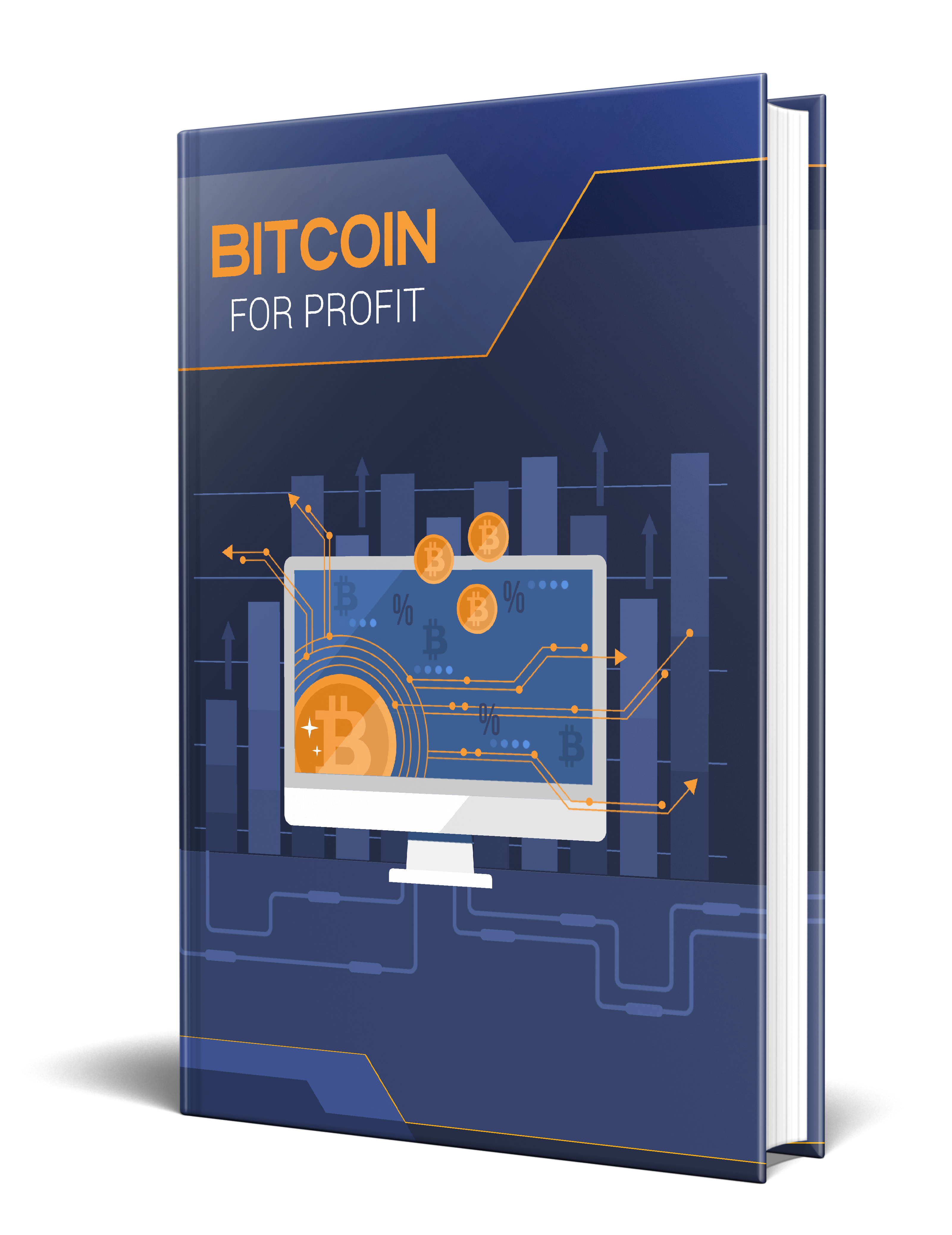 Unique plr book about Bitcoins
