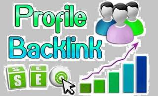 I will create 50 high authority SEO Profile backlinks