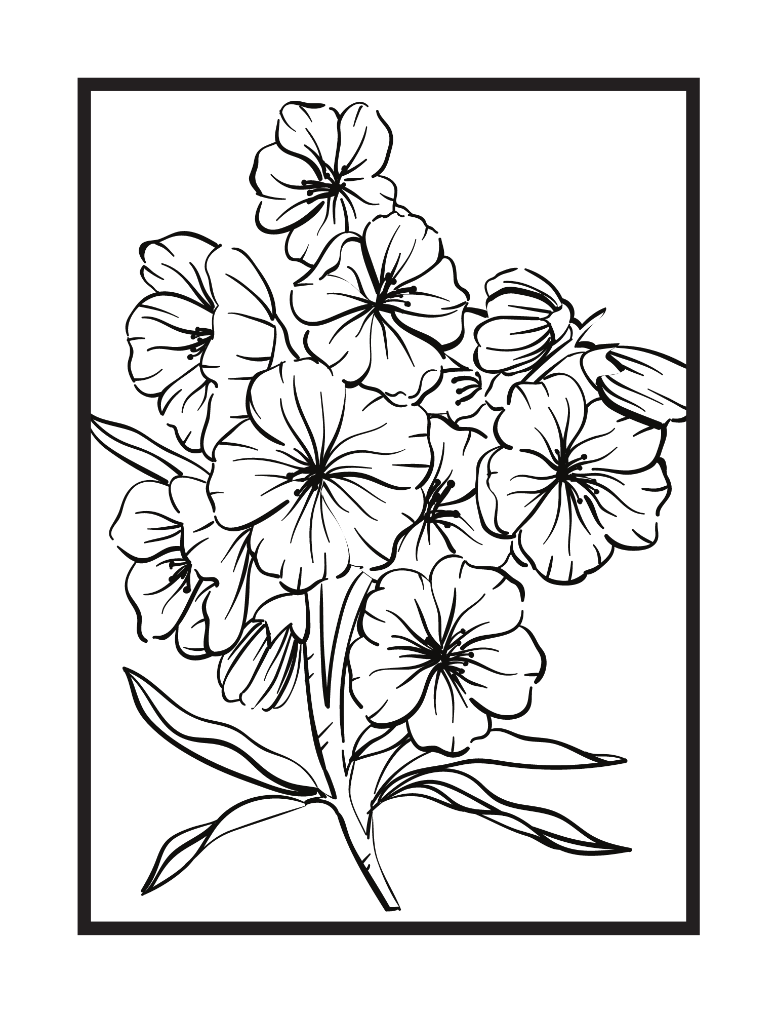 I WILL CREATE UNIQUE AND BEAUTIFUL COLORING PAGES FOR KIDS AND ADULTS 