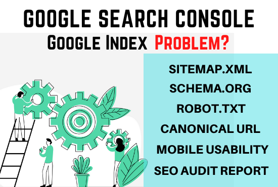 I will fix search console and google index errors, Technical SEO
