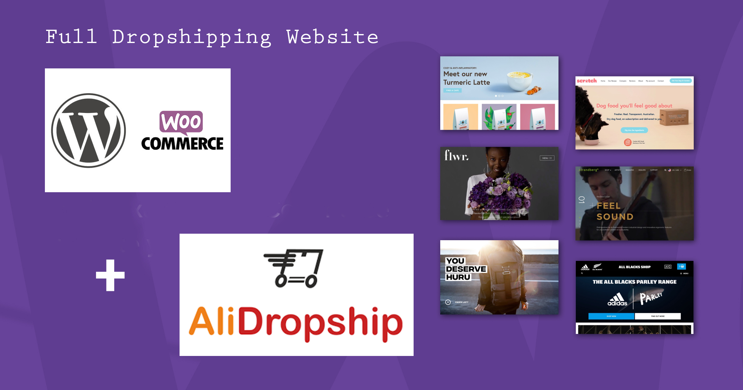 Fully Optimized Dropshipping Website with WordPress, Woocommerce and alidropshipping