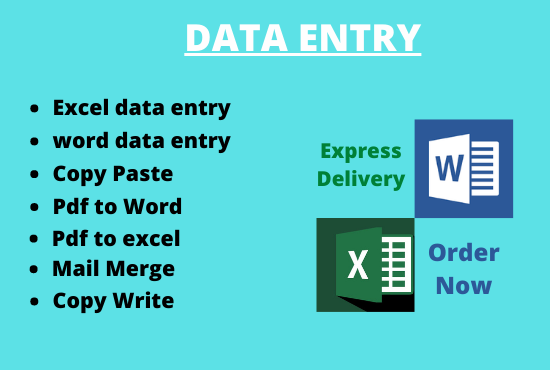 I wil do data entry word and excel,copy and paste,copy write