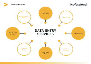 I will professional any data entry typing work