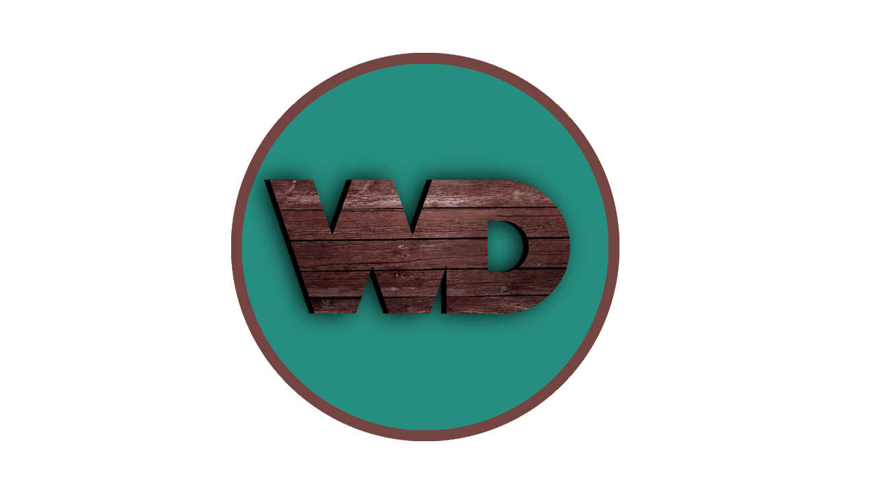 I will do logo designing in reasonable price