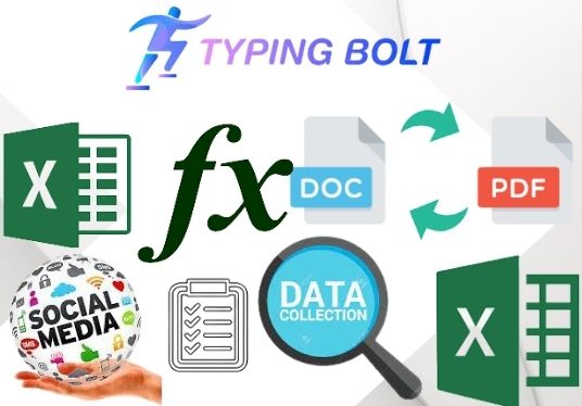 I will do expert fast excel data entry, data mining,typing, data scraping, copy paste, excel work