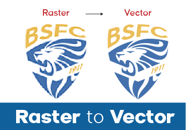 I will do vector tracing, redraw or convert image to vector manually