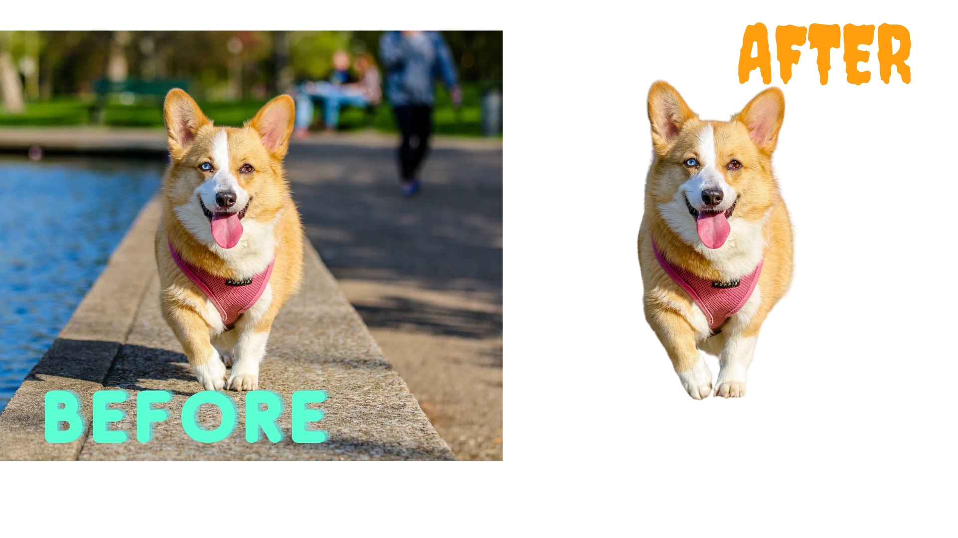 I WILL REMOVE YOUR BACKGROUND IN JUST A 3 HOURS OR LESS FAST AND PROFESSIONAL