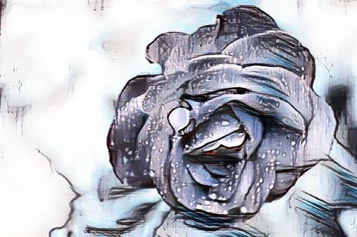 I created professional NFT designer and graphic designer