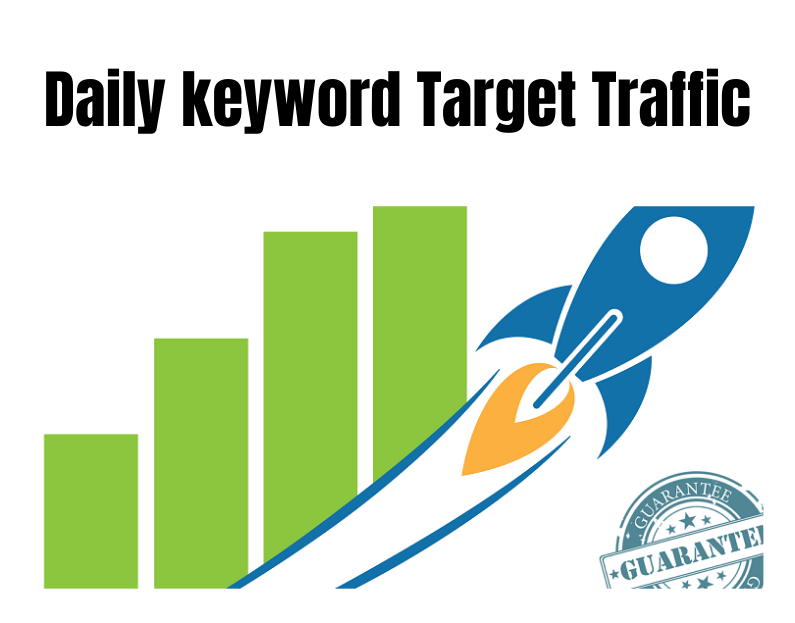Send 11,000 High Quality Real Human Organic Traffic
